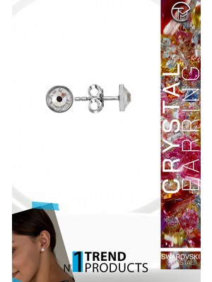 Swarovski Crystal Kadın Çivili Gümüş Küpe