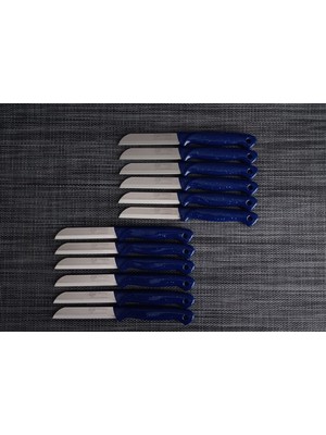 Lacivert Solingen Meyve Bıçağı Seti 12 Adet Çelik Malzeme ile Rahat Kullanım Sunar