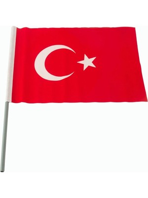 Pileli Store Ay Yıldız Türk Bayrağı 20*30 cm