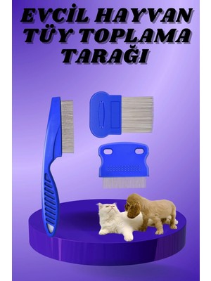 Decostyle Kedi Köpek Tüy Bit Pire Toplayıcı Toplama Temizleme Tarağı Tarak Seti 4'lü Set