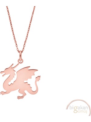 Bigakan Ejderha Taşsız Model 925 Ayar Gümüş Kadın Kolye Rose Kaplama