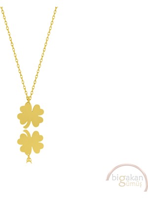 Bigakan Dört Yapraklı Yonca Şans Taşsız Model 925 Ayar Gümüş Kadın Kolye Altın Kaplama