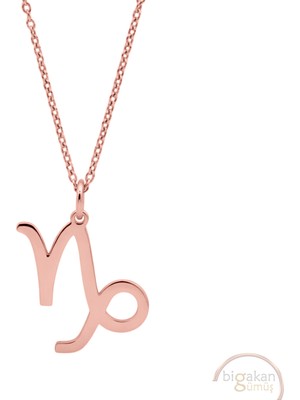 Bigakan Oğlak Burcu Astroloji Capricorn Taşsız Model 925 Ayar Gümüş Kadın Kolye Rose Kaplama