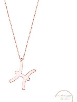 Bigakan Balık Burcu Astroloji Burç Pisces Taşsız Model 925 Ayar Gümüş Kadın Kolye Rose Kaplama