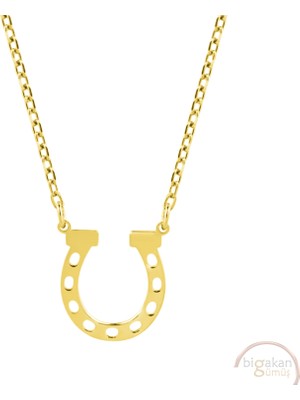 Bigakan Nal At Şans Kolyesi Taşsız Model 925 Ayar Gümüş Kadın Kolye Altın Kaplama