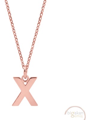 Bigakan x Harfi x Taşsız Model 925 Ayar Gümüş Kadın Kolye Rose Kaplama