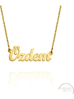 Bigakan 925 Ayar Gümüş Altın Kaplama Özden Isimli Kolye