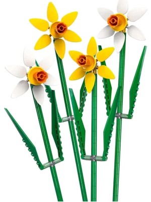 Toyigoo Ieg™ Nergis Kutlama Hediyesi 40747