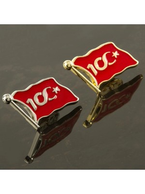 Toyigoo Ieg™ Cumhuriyetin 100. Yılına Özel Yaka Rozet