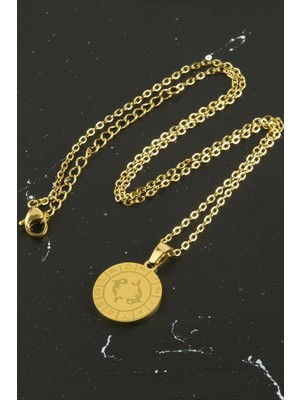 Toyigoo Ieg™ Balık Burcu Çelik Kolye