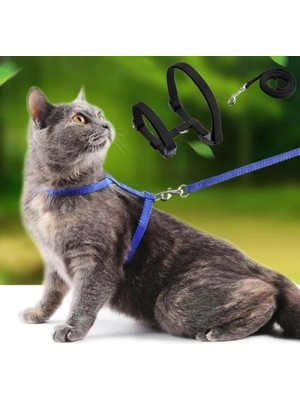 Venüs Shopping Kedi Tasması