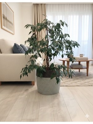 35*35 Çok Amaçlı Dekoratif Sepet