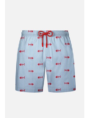 Ayyıldız 1845-SS Erkek Mavi Çizgili Deniz Şortu