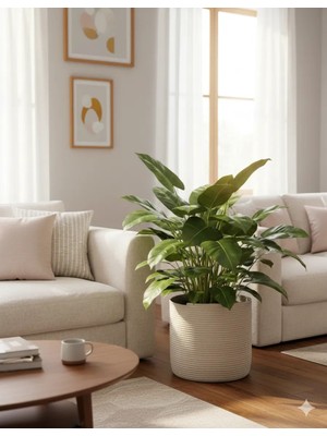 30*30 DÜZENLEYICI SEPET