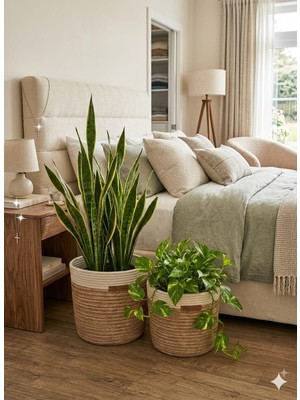 Bayram Taşçıoğlu Home Desing 2 Adet Dekoratif Düzenleyici Sepet Saksılık