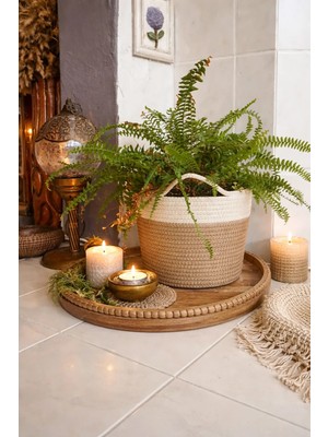 Bayram Taşçıoğlu Home Desing Dekoratif Düzenleyici Sepet Saksılık