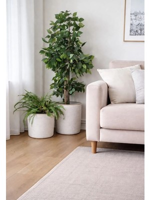 Bayram Taşçıoğlu Home Desing 2 Adet Dekoratif Düzenleyici Sepet Saksılık