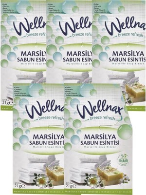 Wellnax Breeze Refresh Dolap ve Çekmece Kokusu Çiçeksi Koku 21g Esinti Kesesi X5