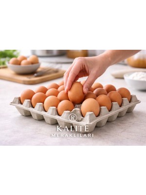 ŞENPA PLASTİK BEYAZ ETEK,PANTOLON ASKISI 10 ADET EM 38