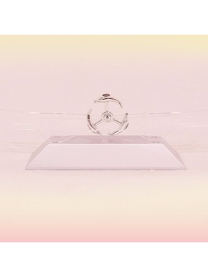 Dekoratif Masa Üstü Obje Manyetik Kinetik Orbital Dönen Yunuslar