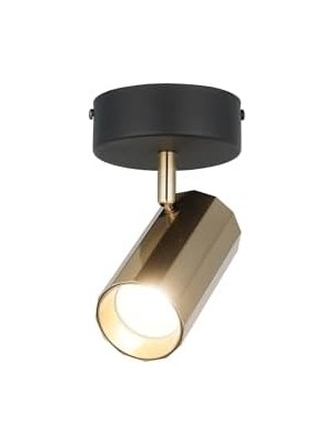 Rosta Tekli Siyah-Antık Lak Plafonyer 1XGU10