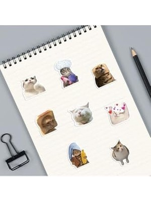 Çılgın Kediler Laptop Notebook Tablet Seti