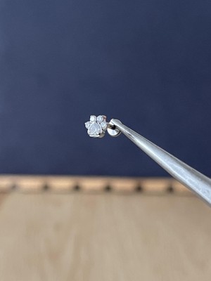 Rupen Kraft %100 G23 Titanyum Pırlanta Model Pati Model Titanyum Labret Kıkırdak Piercing