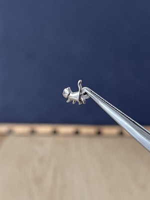 Rupen Kraft %100 G23 Titanyum Kedi Titanyum Model Titanyum Labret Kıkırdak Piercing
