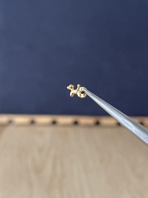 Rupen Kraft %100 G23 Titanyum Fino Köpek Altın Titanyum Model Titanyum Labret Kıkırdak Piercing