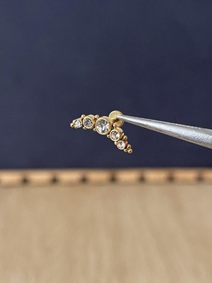 Rupen Kraft 316 L Cerrahi Çelik Sıralı Kristal Altın Piercing Kıkırdak Labret Piercing