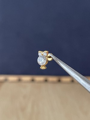 Rupen Kraft %100 G23 Titanyum Baykuş Zirkon Altın Titanyum 6 mm Labret Kıkırdak Piercing