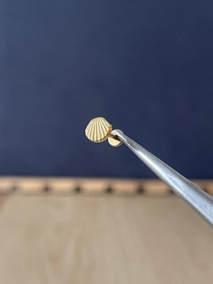 Rupen Kraft %100 G23 Titanyum Deniz Kabuğu Shell Altın Titanyum Labret Kıkırdak Piercing