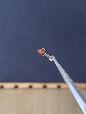 Rupen Kraft 316 L Cerrahi Çelik Pençe Doğal Taş Kırmızı Çelik Tragus Piercing Kıkırdak Labret Piercing