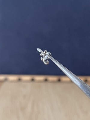 Rupen Kraft %100 G23 Titanyum Dal Markiz Zirkon Titanyum Model Titanyum Labret Kıkırdak Piercing