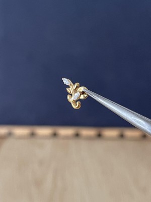 Rupen Kraft %100 G23 Titanyum Dal Markiz Zirkon Titanyum Model Titanyum Labret Kıkırdak Piercing