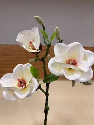 Plus Home Yapay Çiçek Manolya Renk Beyaz Boy 58 cm