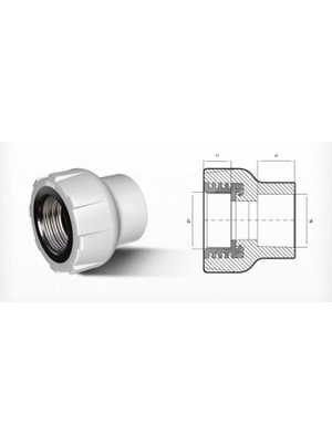 Verto Ege Yıldız Pprc 40X1 1/4 Dişi Adaptör Gri