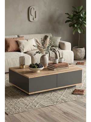 Robin Home Loft Orta Sehpa 2 Kapaklı Çam-Antrasit