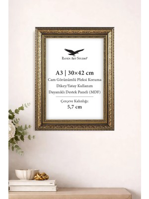 Raven Art Studio Royal A3-30X42CM Antik Altın Resim Fotoğraf Belge Poster Evrak Çerçevesi Korumalı Kırılmaz Pleksi Cam