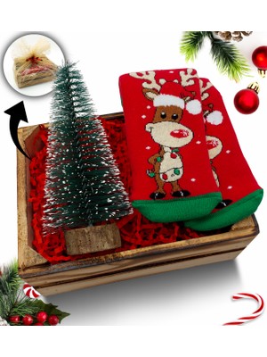 As Gift Mini Kasa Içerisinde Çam Ağacı & Kırmızı Kupa Hediye Seti