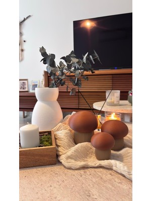 3DekorPusula Dekoratif 3'lü Mantar Biblo Seti-Gizli Bölmeli Takı & Saklama Kutusu / Dekoratif Obje