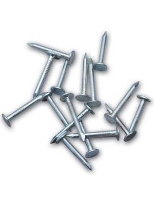 Zenvia Oluklu Ayakkabı Çivisi 1 kg