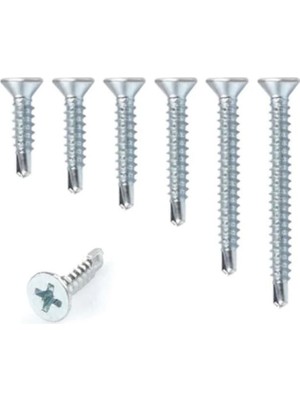 Meridyen Yhb Matkap Uçlu Akıllı Vida 4,2X22 ( 10 Adet )