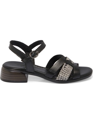 Tergan Siyah Hakiki Deri Kadın Sandalet - K25Y1SN67932-A23