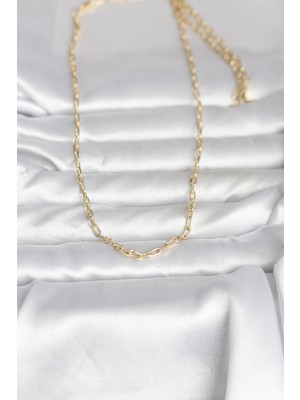 isiltikidsmoda cm 14K Gold Renk Ataç Zincir Model 60 cm Kadın Kolye - Lisinya