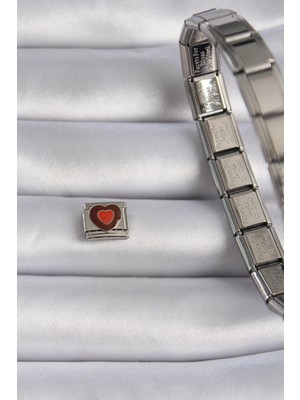 316L Çelik Gümüş Renk Kahverengi Kalp Işlemeli Nomination Charm