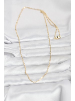 isiltikidsmoda cm 14K Gold Renk Burgu Model 60 cm Kadın Kolye - Lisinya