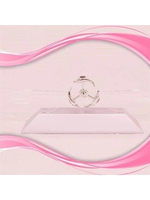 Eco Lounge Dekoratif Masa Üstü Obje Manyetik Kinetik Orbital Dönen Yunuslar