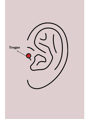 Eco Lounge 316L Çelik Gümüş Renk Mor Mineli Kalp Zirkon Taş Detay Tragus Piercing