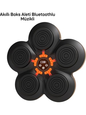 Elektronikçim Müzik Box Makinesi